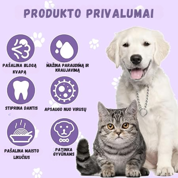 Natūrali priemonė naminių gyvūnėlių dantims