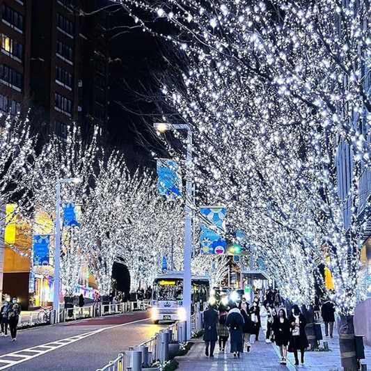 Universali vielinė LED girlianda