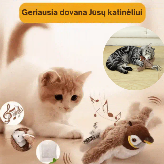 Interaktyvus žaislas katėms - skraidantis paukštelis
