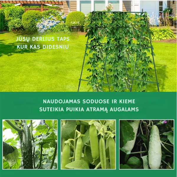 Stabilus ir tvirtas stovas pomidorams, agurkams ir įvairiems augalams